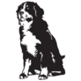 B&w Bernese Dog Sticker