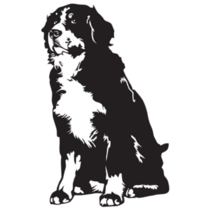 B&w Bernese Dog Sticker