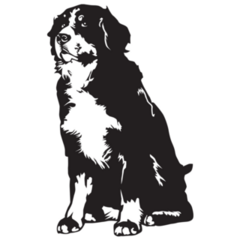B&w Bernese Dog Sticker