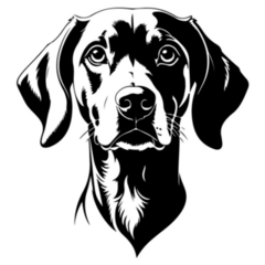 B&W Weimaraner Sticker