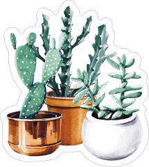 Cactus and Succulent Trio Sticker