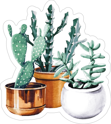 Cactus and Succulent Trio Sticker