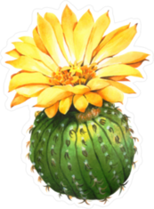 Cactus Bulb with Large Yellow Flower Sticker