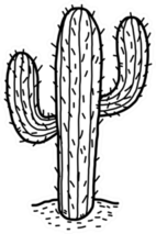 Cactus In Desert Cartoon Sticker