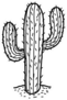 Cactus In Desert Cartoon Sticker