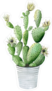Cactus in White Pot Sticker