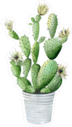 Cactus in White Pot Sticker