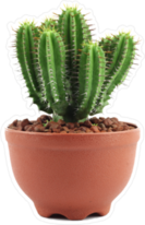 Cactus Planted in a Pot Sticker