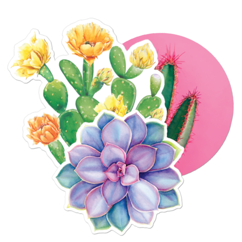 Succulent & Cactus Stickers & Decals  Free Shipping