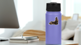 California Sea Lion Looking Up Sticker on a Water Bottle (New) example