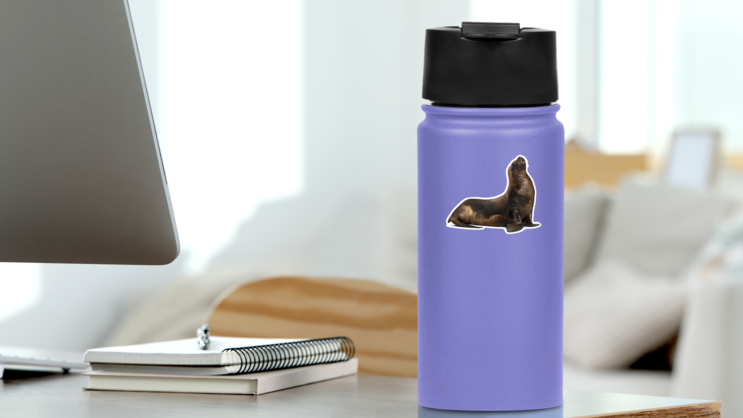 California Sea Lion Looking Up Sticker on a Water Bottle (New) example