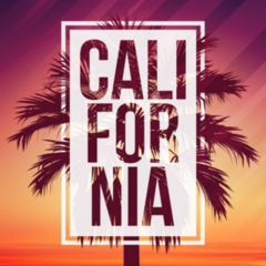 California With Palm And Frame Sticker