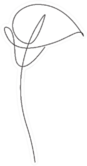 Calla Lily Flower Line Continuous Drawing Sticker