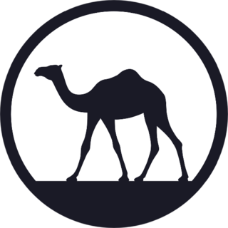 Camel In Desert Walking Forward At Sunrise Sticker