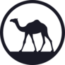 Camel In Desert Walking Forward At Sunrise Sticker