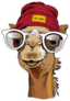 Camel Portrait With A Glasses And In A Hipster Hat Sticker