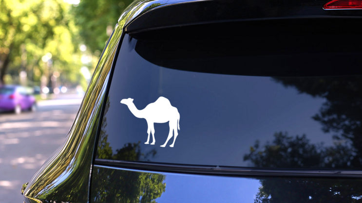 Camel Silhouette Sticker on a Rear Car Window (New) example
