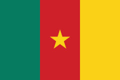 Cameroon Flag Sticker