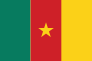 Cameroon Flag Sticker