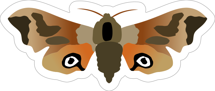 Camouflage Butterfly Sticker