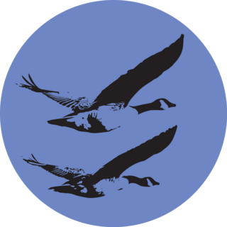 Canada Geese Flying Sticker