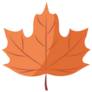 Canada Maple Leaf Illustration Sticker