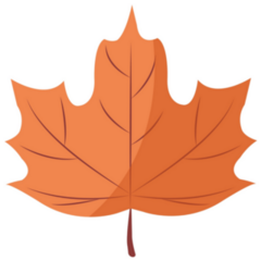 Canada Maple Leaf Illustration Sticker