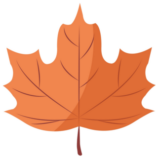 Canada Maple Leaf Illustration Sticker