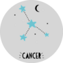 Cancer Sign Cute Bright Hand Drawn Sticker