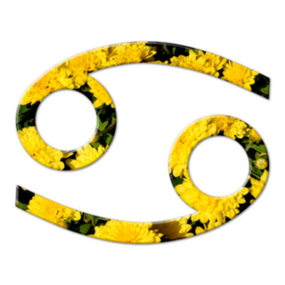 Cancer Zodiac Astrology Sunflowers Icon Sticker