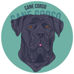Cane Corso Blue Circle Sticker