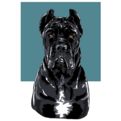 Cane Corso Blue Square Sticker