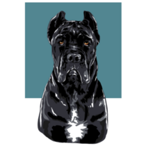 Cane Corso Blue Square Sticker