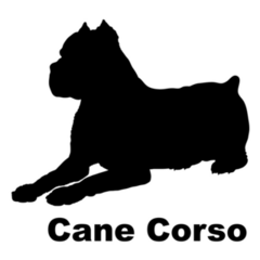 Cane Corso Bold Sticker
