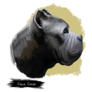 Cane Corso Breed Sticker