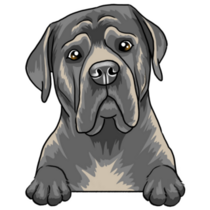 Cane Corso Dog Sticker