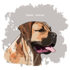 Cane Corso Fawn Sticker