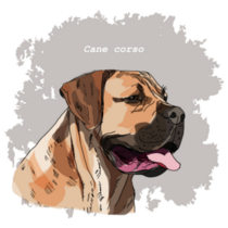 Cane Corso Fawn Sticker