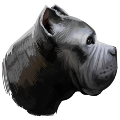 Cane Corso Head Sticker