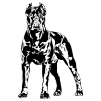 Cane Corso Illustration Sticker