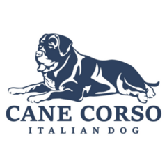 Cane Corso Italian Sticker