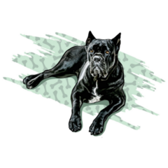 Cane Corso Lying Sticker