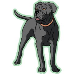 Cane Corso On Green Sticker