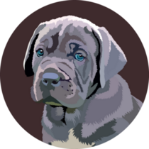 Cane Corso Pup Portrait Sticker