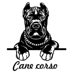 Cane Corso Text Sticker