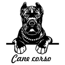 Cane Corso Text Sticker
