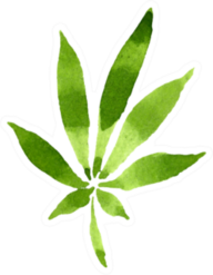 Cannabis Green Leaves Floral Foliage Sticker