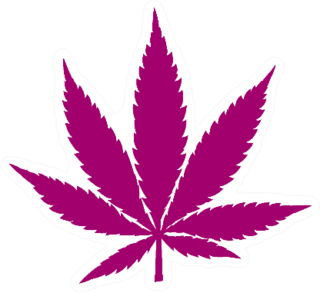 Cannabis Illustration Pink Sticker