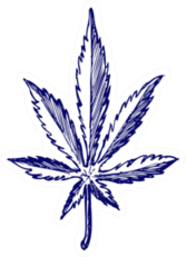 Cannabis Leaf Doodle Style In Navy Sticker