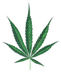 Cannabis Leaf Watercolor Hand Drawn Illustration Sticker